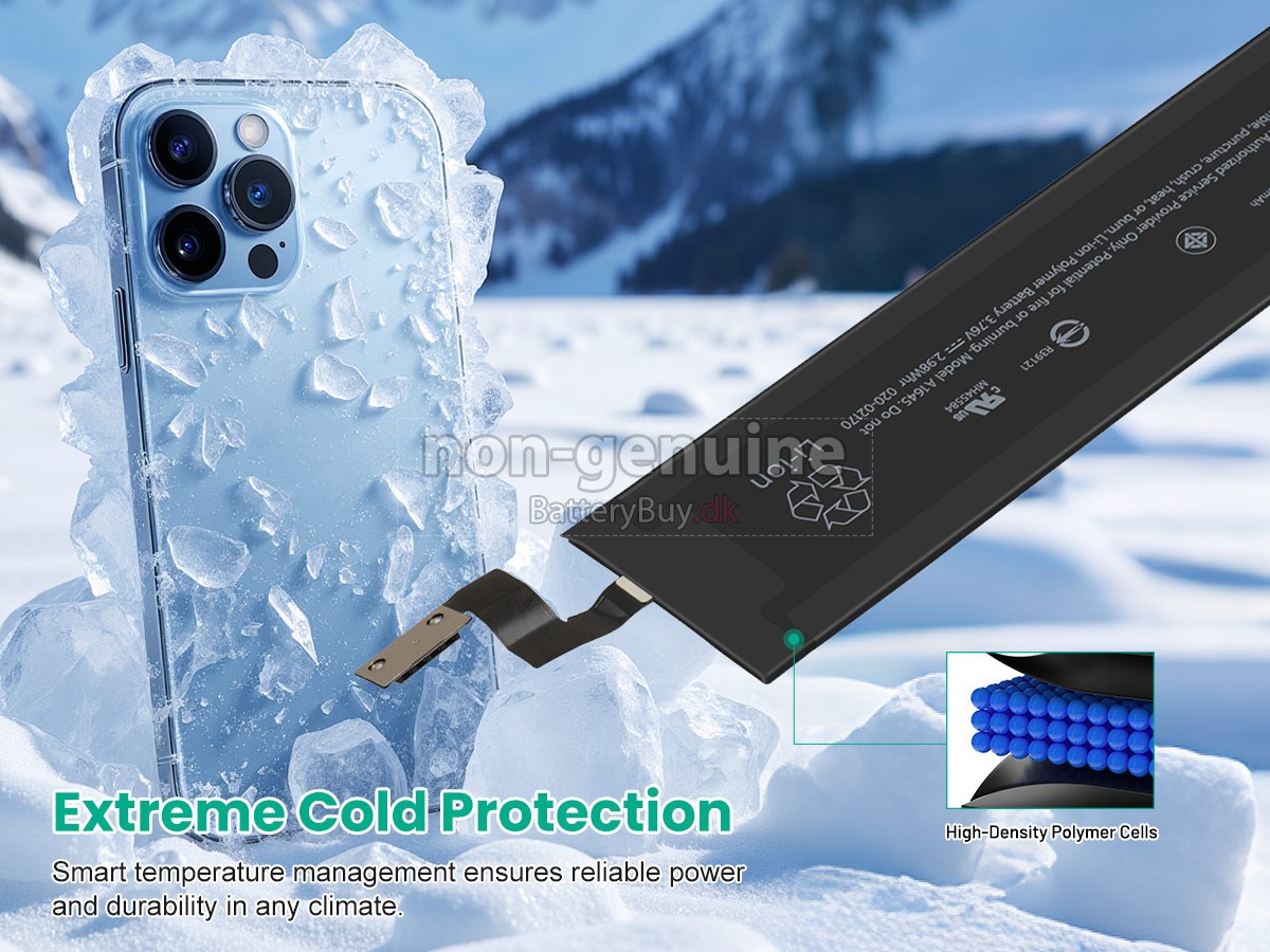 Apple 020-00460 udskiftningsbatteri