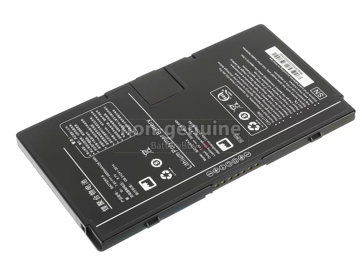 Iray BATTERY-X udskiftningsbatteri
