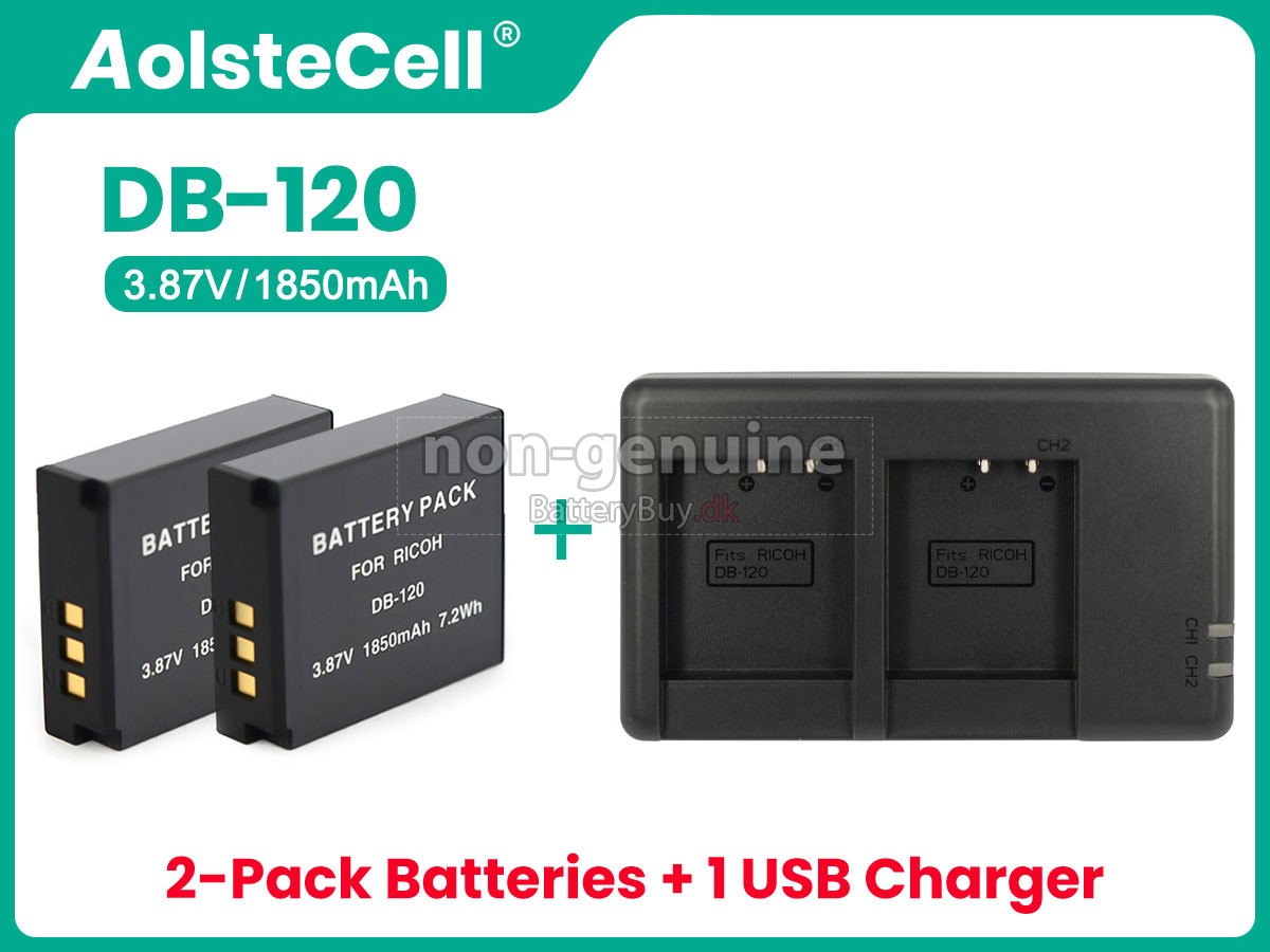 Ricoh DB-120 udskiftningsbatteri